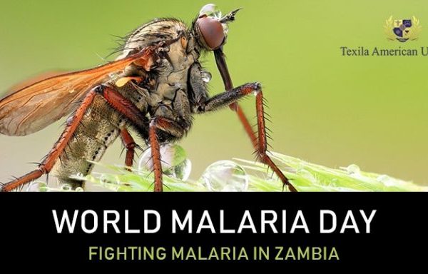 Texila talk series world malaria day