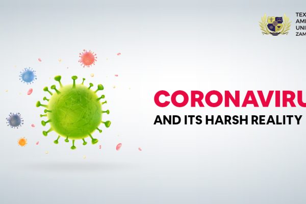 Coronavirus and Its Harsh Reality