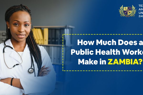 How Much Does a Public Health Worker Make in Zambia