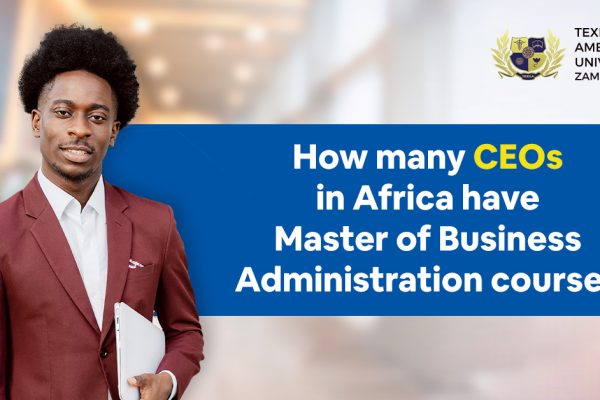 How Many CEOs in Africa Have Master of Business Administration Course