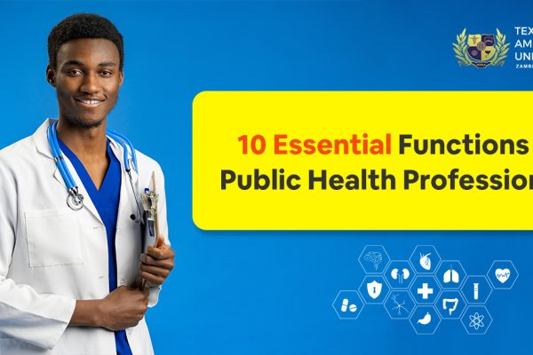 10 Essential Functions of Public Health Professionals