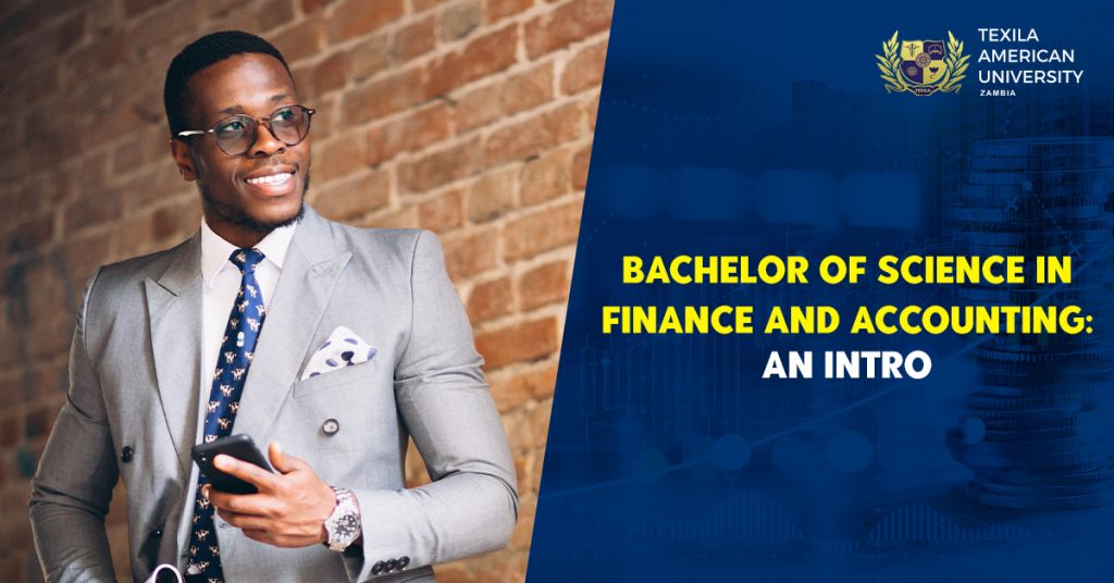Bachelor of Science in Finance and Accounting: An Intro