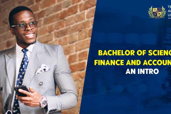 Bachelor of Science in Finance and Accounting: An Intro
