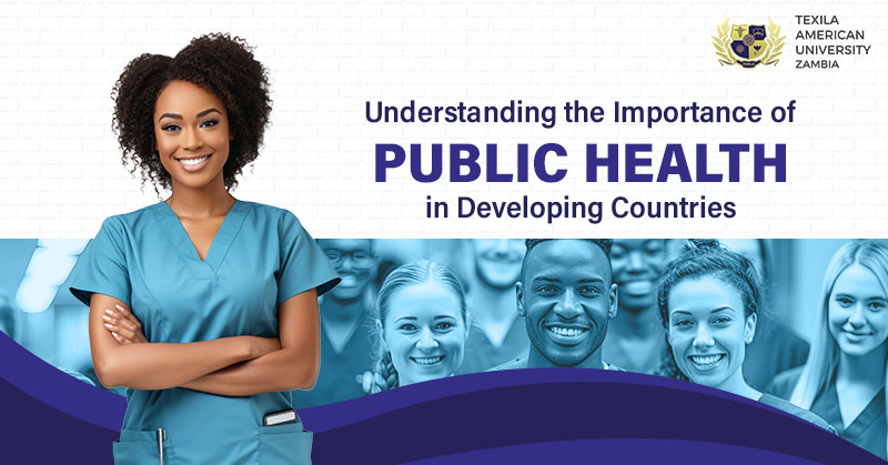 importance of public health degree in developing countries