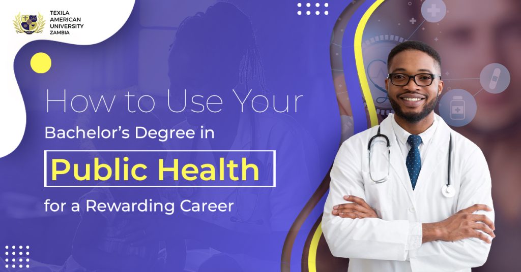 bachelors degree in public health