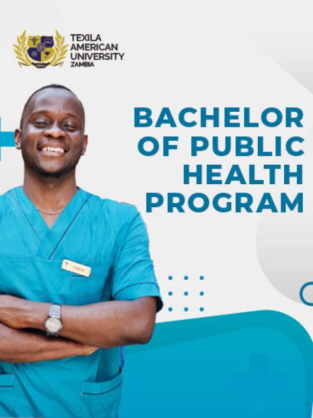 Study Bachelor Public Health Degree