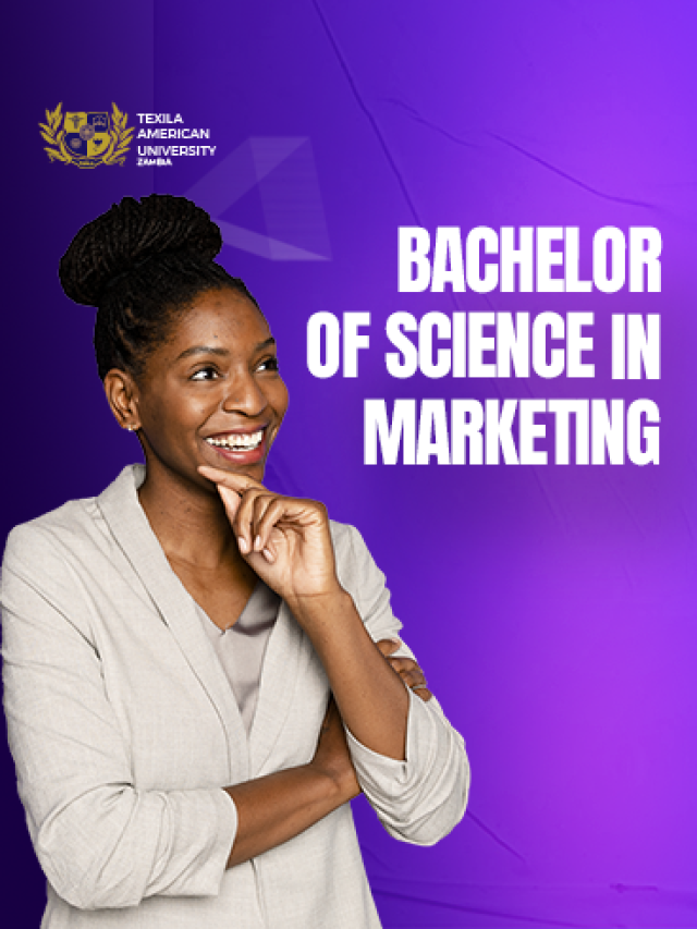 Study Bachelor of Science Degree in Marketing