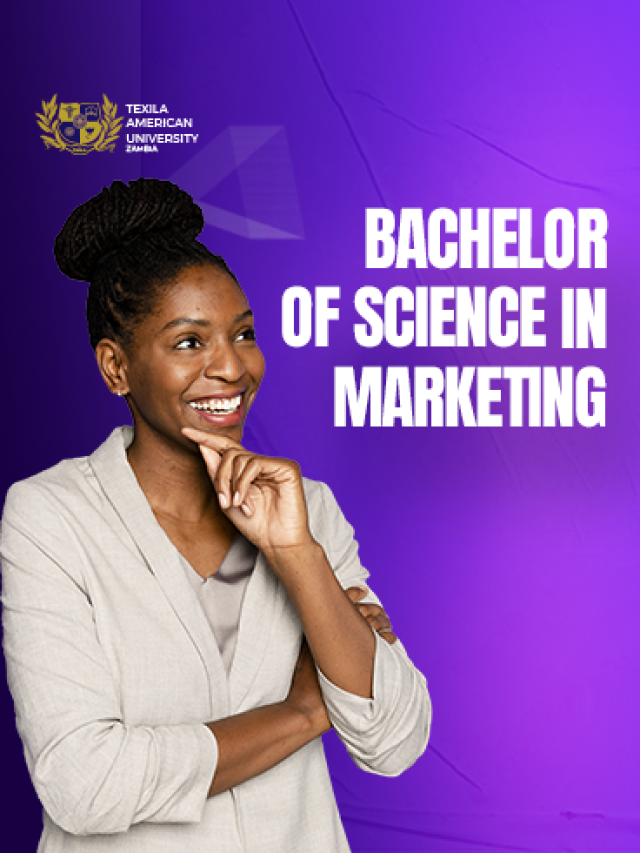 Bachelors in Marketing Degree in Zambia