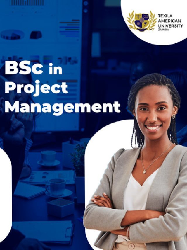 Project Management Bachelor’s Degree Program