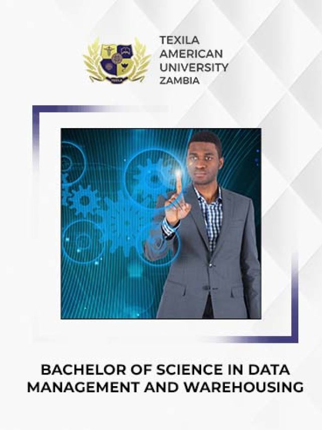 Bachelor of Science in Data Management and Warehousing