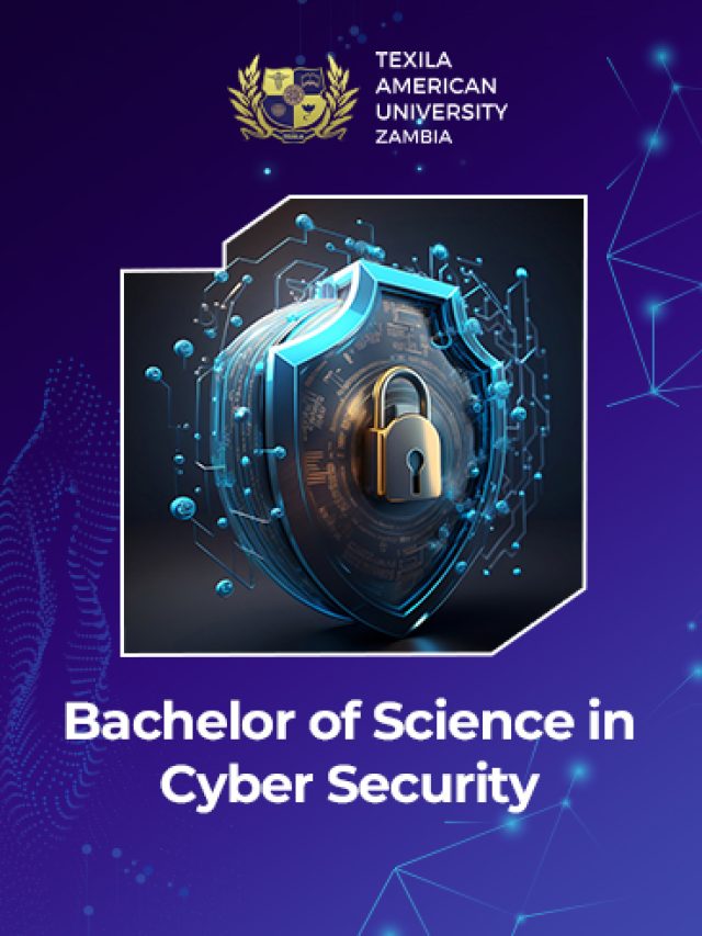 Bachelor of Science in Cyber Security