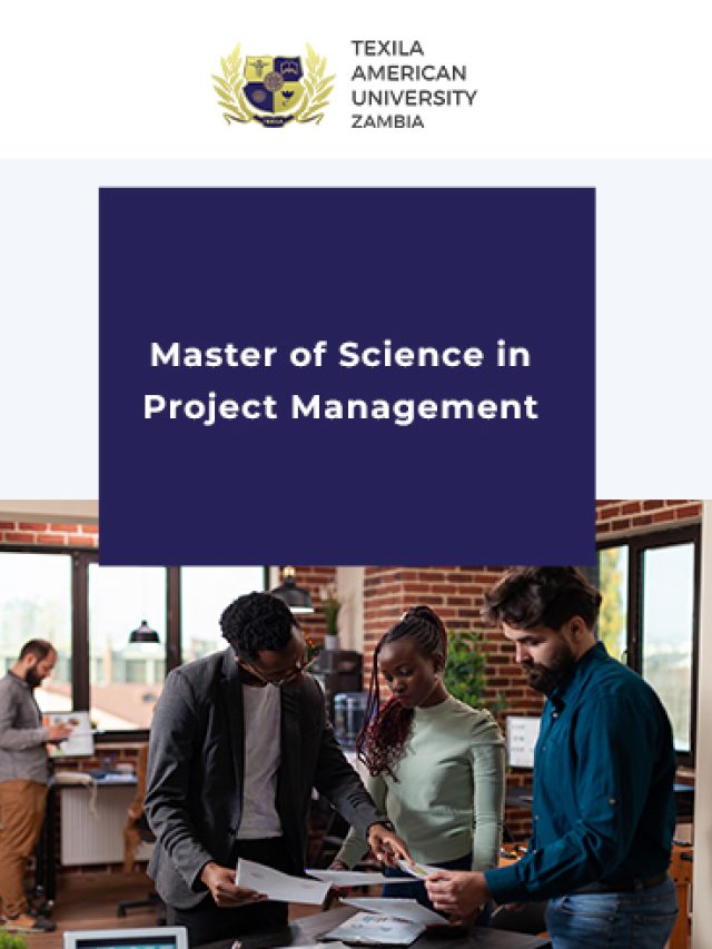 Master's Degree in Project Management online