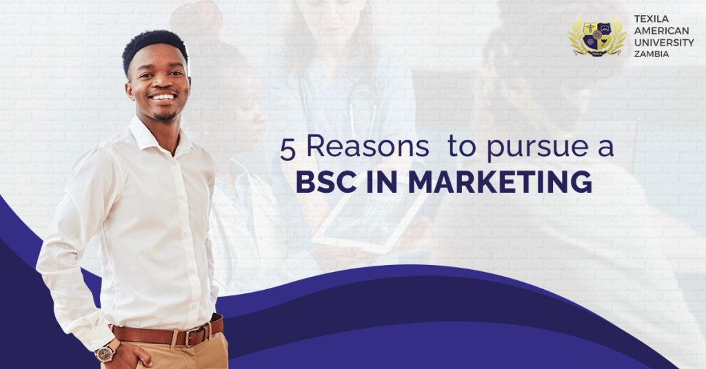 Study BSc Marketing Degree in Zambia