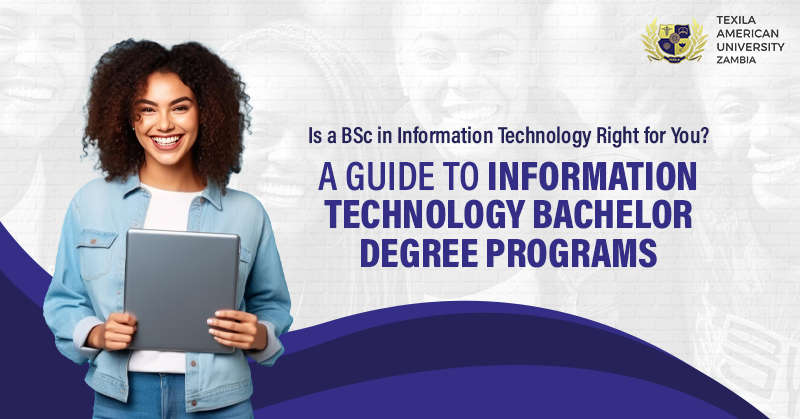 bsc in information technology