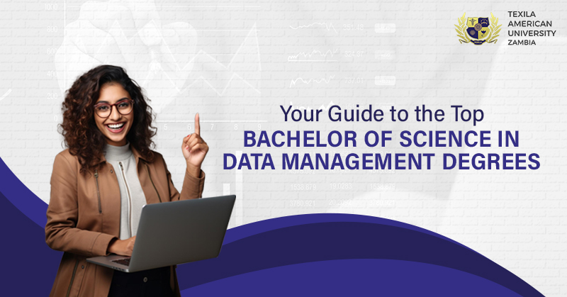 Bachelor of Science in Data Management- Your top Guide