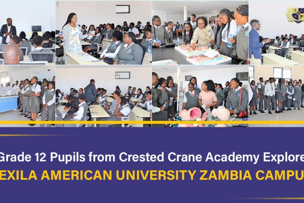 Texila american university zambia-crested crane academy