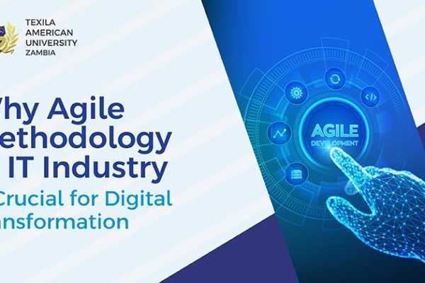 agile methodology in it industry