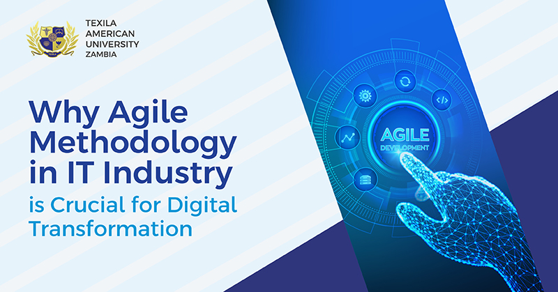 agile methodology in it industry