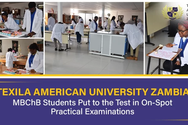 Texila American University Zambia